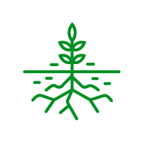 国药药材 国药药材